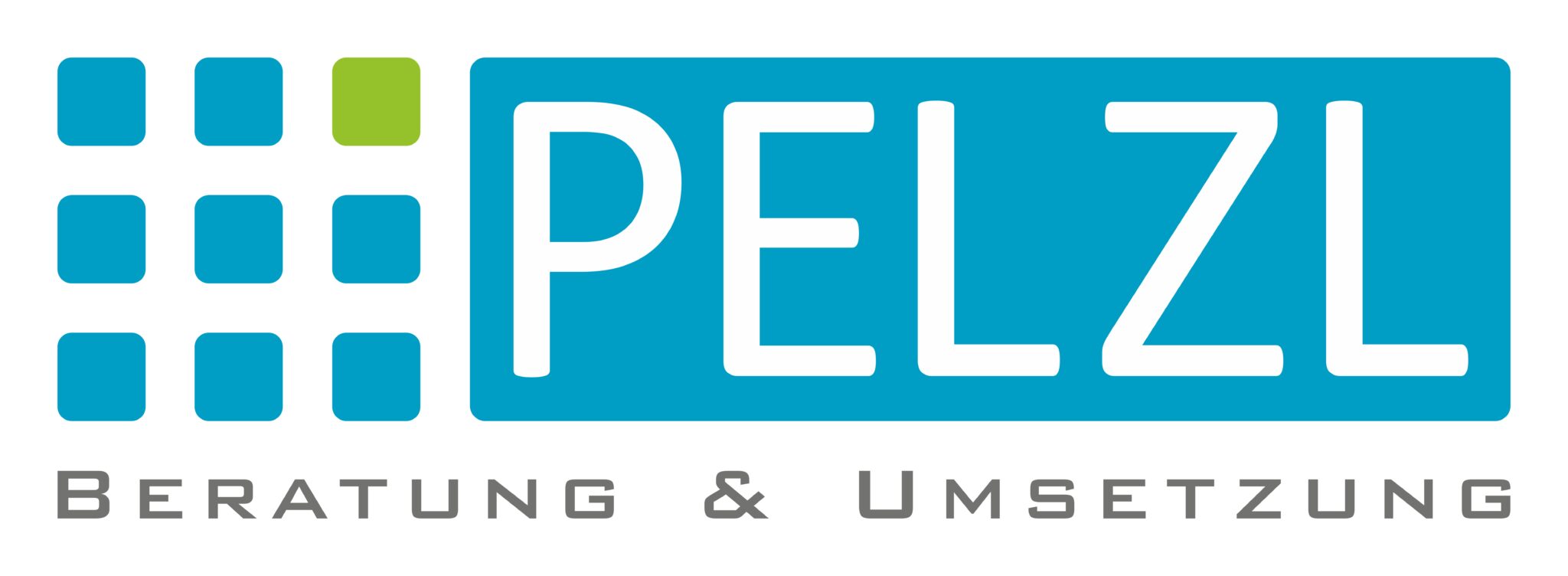 Logo Pelzl Beratung & Umsetzung